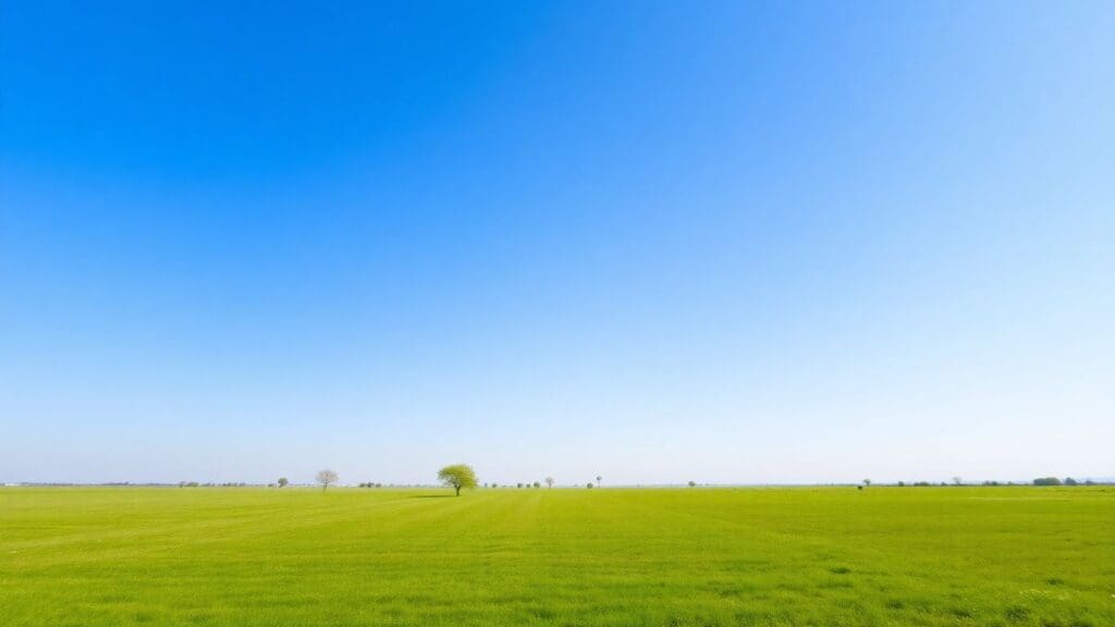 vast green field under clear blue sky with scattered trees