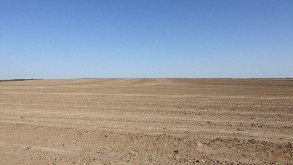 vast barren field under clear blue sky