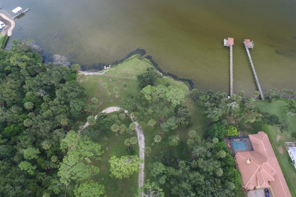 aerial view of waterfront property with docks and trees